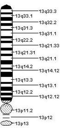 Trisomy1